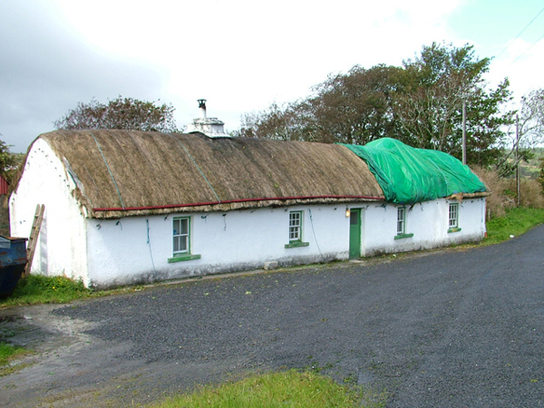 vernacular architecture ireland