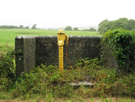 RIGSDALE,  Co. CORK