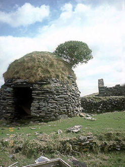 An Púicín Buí, GREAT-BLASKET ISLAND, An Blascaod Mór [Great Blasket Island],  Co. KERRY