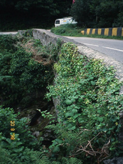 O'Connell's Bridge, GLEENSK,  Co. KERRY