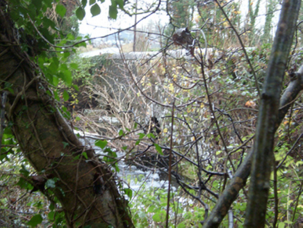 Licklea Bridge, SHOODAUN,  Co. GALWAY