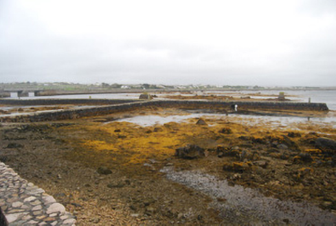 ANNAGHVAAN, Eanach Mhéain [Annaghvaan Island],  Co. GALWAY