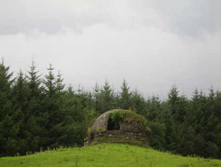 Woodlawn, WOODLAWN,  Co. GALWAY