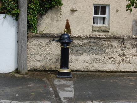 SCRABBY (TULLYHUNCO BY.), Lough Gowna,  Co. CAVAN