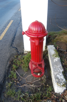 NARAN, Irishtown,  Co. DONEGAL