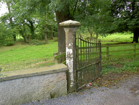 Danesfort, LONGFORD - Buildings of Ireland