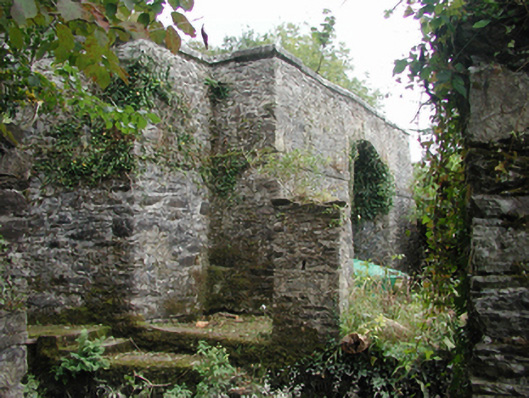 Dromana House, DROMANA (D. WT. BY.), WATERFORD - Buildings of Ireland