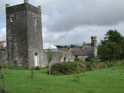 Gortkelly Castle, GORTKELLY, TIPPERARY NORTH - Buildings of Ireland