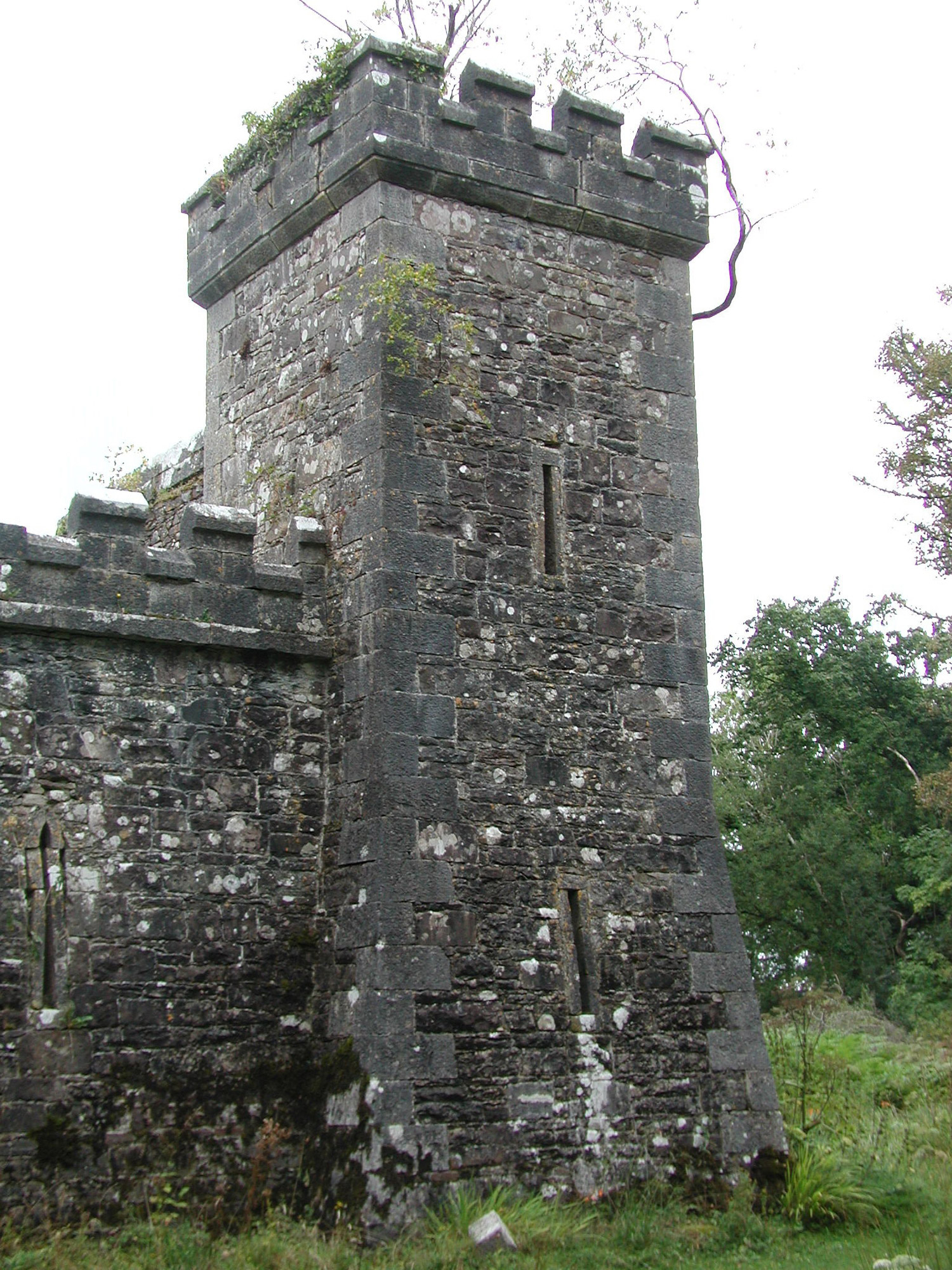 Cloontykilla Castle, ROCKINGHAM DEMESNE (BOYLE BY. ROCK.E.D.), Buildings of Ireland