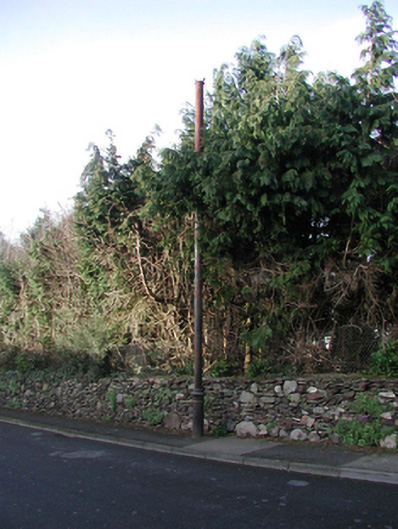 lower-william-street-new-ross-new-ross-wexford-buildings-of-ireland