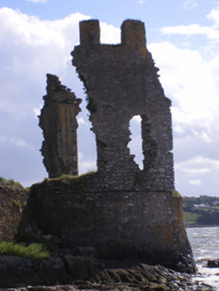 Siddons Tower Rostellan Cork Buildings Of Ireland