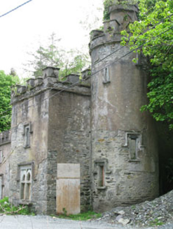 Puxley Castle, CURRADONOHOE, CORK - Buildings of Ireland