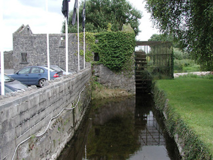 Old Mill, HOLYCROSS, Holycross, TIPPERARY NORTH - Buildings of Ireland