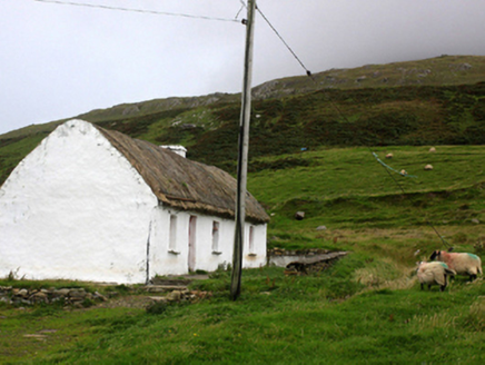 STRAKE, Clare Island,  Co. MAYO