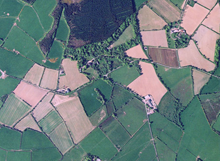 Small aerial image