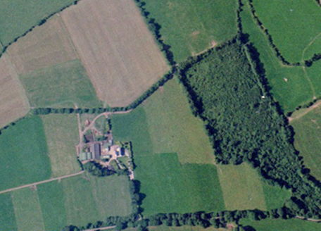 Small aerial image